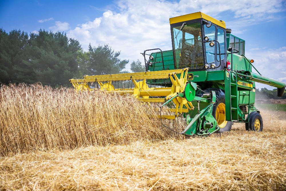 Welcome to Our Store