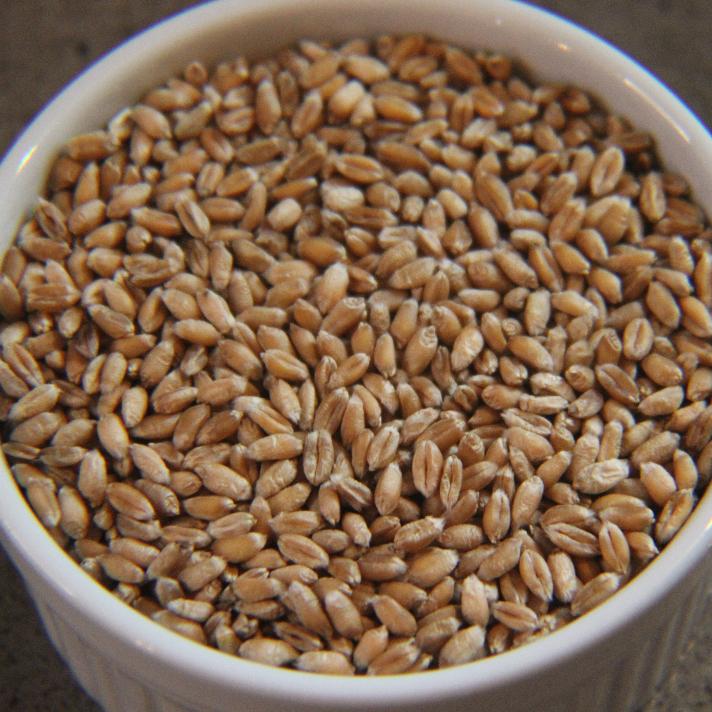 Heritage Grain Revival Trio - Image 3